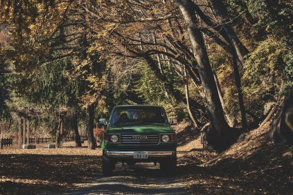 ランクル80で釣りキャンプ×クルマ旅 森の中をドライブ